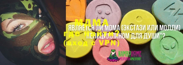 гашик Алексин