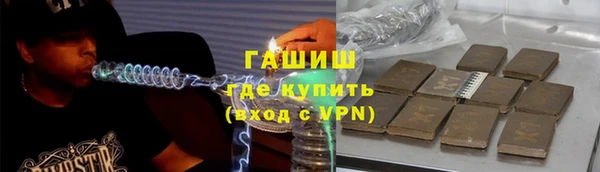 гашик Алексин