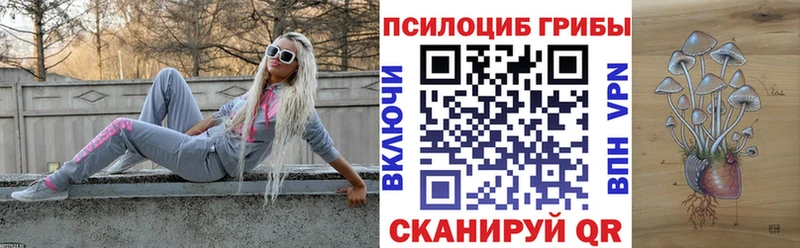 Псилоцибиновые грибы Magic Shrooms  Купить где  Ессентукская 